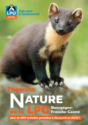 Agenda Lpo Bfc 2023 Présentation De La Lpo En Bourgogne Franche Comté