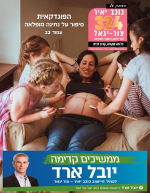 עיתון כוכב יאיר צור יגאל גליון 324