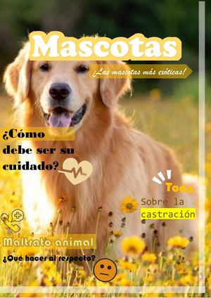 Revista Digital (Mascotas)