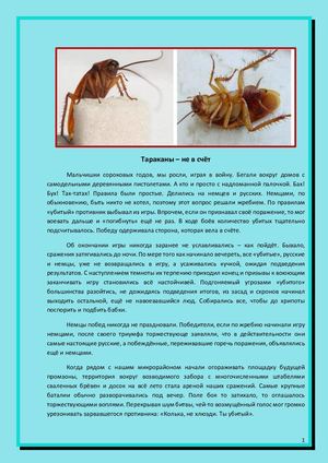 Тараканы не в счёт