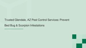Trusted Glendale, AZ Pest Control Services: Prevent Bed Bug & Scorpion Infestations