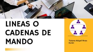 Línea de autoridad o cadena de mando