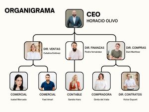 Gráfico Organigrama Empresa Profesional Sencillo Blanco
