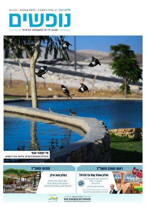 נופים&נופשים גיליון מס׳ 343 | א׳ אלול ה’תשפ”ג | פרשת שופטים | 18.8.23