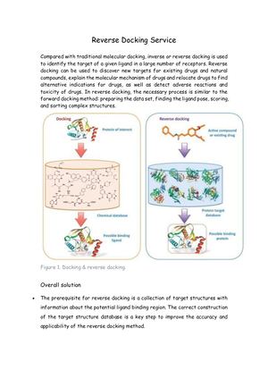 Reverse Docking Service