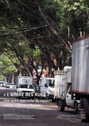 « L’arbre des rues », Une autre approche du rapport nature culture à Mexico