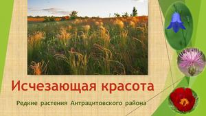 Исчезающая красота Редкие растения Антрацитовского района