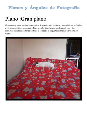 Planos Y Ángulos De Fotografía
