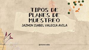 Tiposde Planes De Muestreo