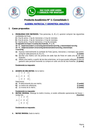 Enunciado Pa1 Algebra Matricial