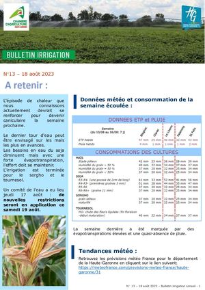 Bulletin irrigation été 2023 n°13