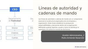 Lineas De Autoridad Y Cadenas De Mando