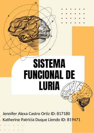 Sistema Funcional De Luria