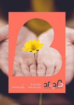 כלב אל לב קטלוג