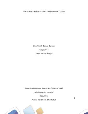 Anexo 1 Informe Laboratorio Practico Bioquímica Erika Zapata 954