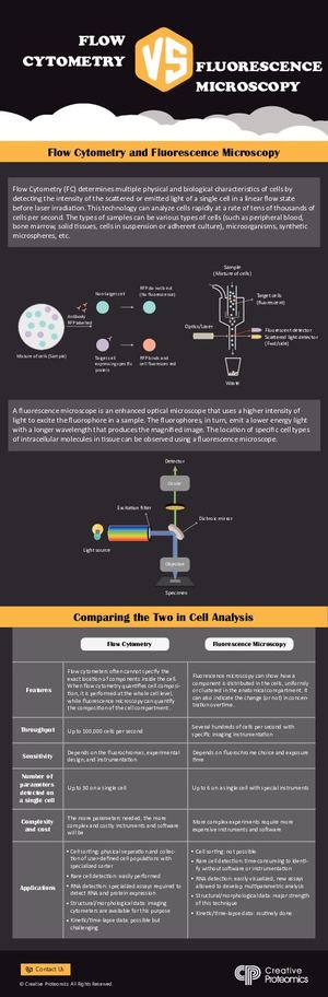 Flow Cytometry Vs Fluorescence Microscopy In Cell Analysis