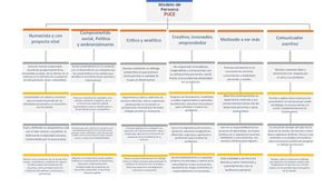 Modelo De Persona Puce