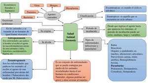 Mapa Mental De Salud Animal