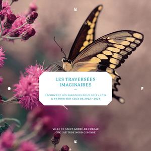 Les Traversées Imaginaires 2023>2024