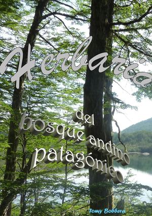 Bosque Andino Patagónico