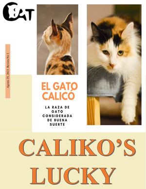 Caliko's Lucky (1)