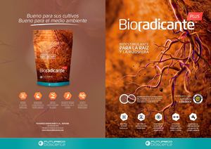 Corporativa: Futureco (Díptico)