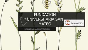 Fundacion Universitaria San Mateo