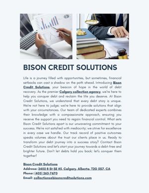 Bison Credit Solutions