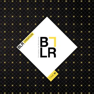 Brochure Blr Vi