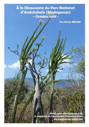 Article Madagascar - Fort Dauphin 2019