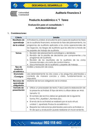 Auditoria Financiera II PA1