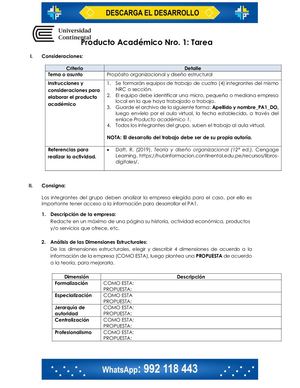 Diseño Organizacional PA 1