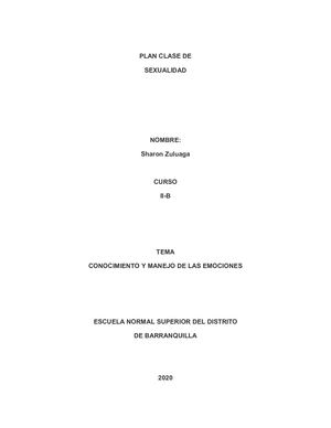 Plan Clase-Sexualidad Docx