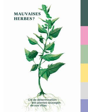 Mauvaises Herbes, Clé De Détermination Des Plantes Sauvages De Nos Villes, Calameo