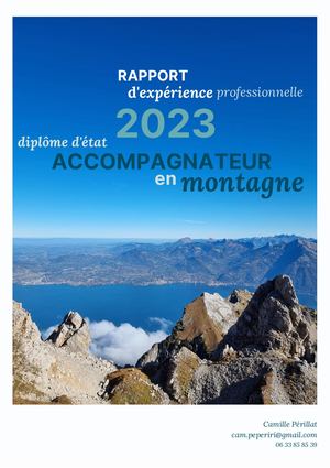 Rapport Expérience De Amm