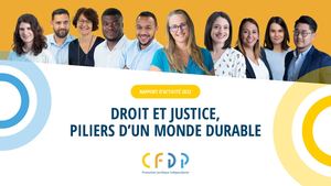 Rapport Annuel CFDP 2022
