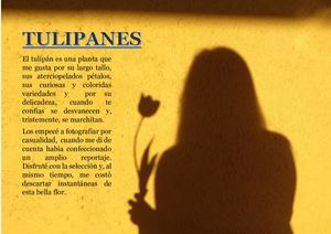 Tulipanes