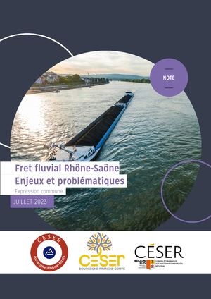Fret fluvial Rhône-Saône. Enjeux et problématiques
