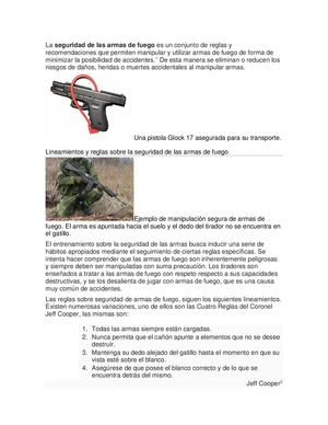 Medidas De Seguridad Con Las Armas