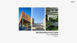 Taller Vi Factor X Neuroarquitectura