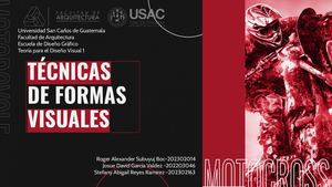 TÉCNICAS  DE FORMAS VISUALES
