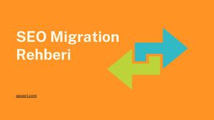 Seo Migration Rehberi