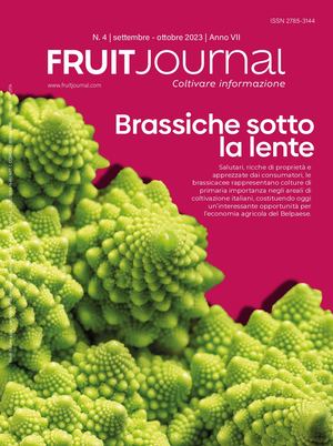 FRUIT JOURNAL | N.4/2023