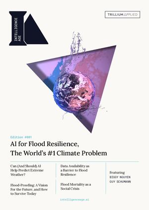 Intelligence Age #001 AI for Flood Resilience, The World’s #1 Climate Problem