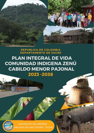 Plan Integral De Vida Pajonal