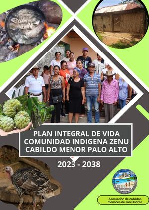 Plan Integral De Vida Palo Alto