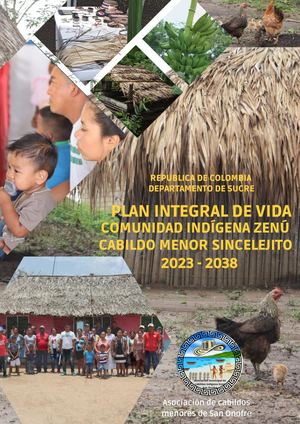 Plan Integral De Vida Sincelejito