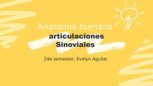 Articulaciones Sinoviales