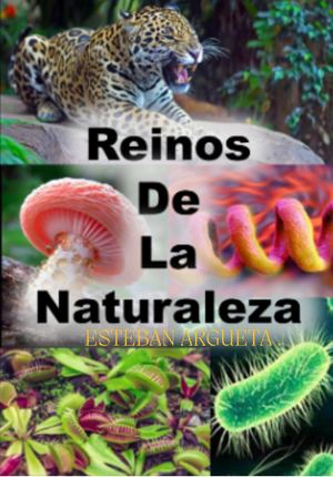 Ivory Green Yellow Geometric Travel Personal Interests Zine