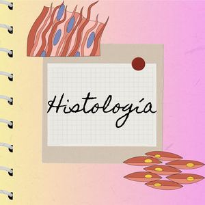 Álbum Histología